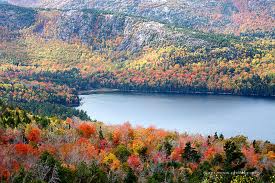 maine woods national park