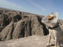 Signaling the Aliens