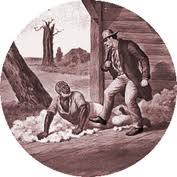 But we fed them and gave them shelter...