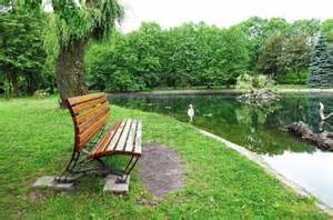 It's a Beautiful World We Live In