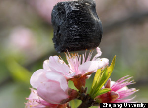 Lighter than a feather