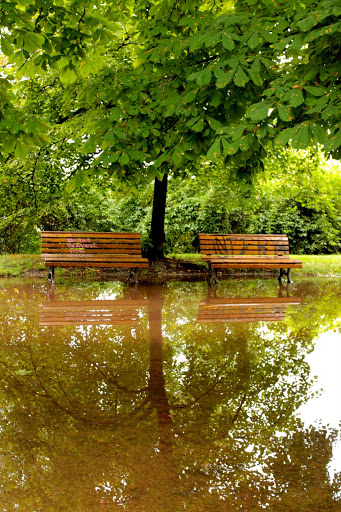 A Rainy Day in Prague