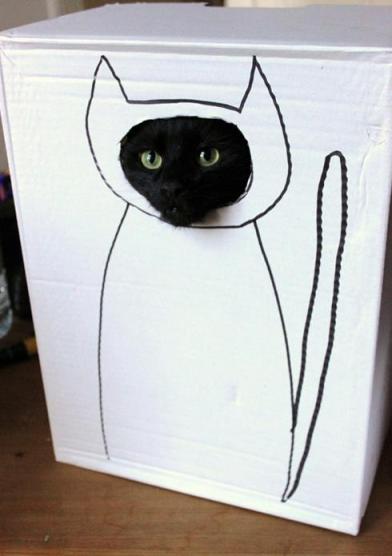 Just cut a hole in the damned box! Problem solved.