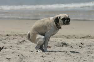 He's probably facing either due north or due south