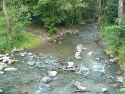 Botič  (that's pronounced bo teach)