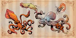 cephalods