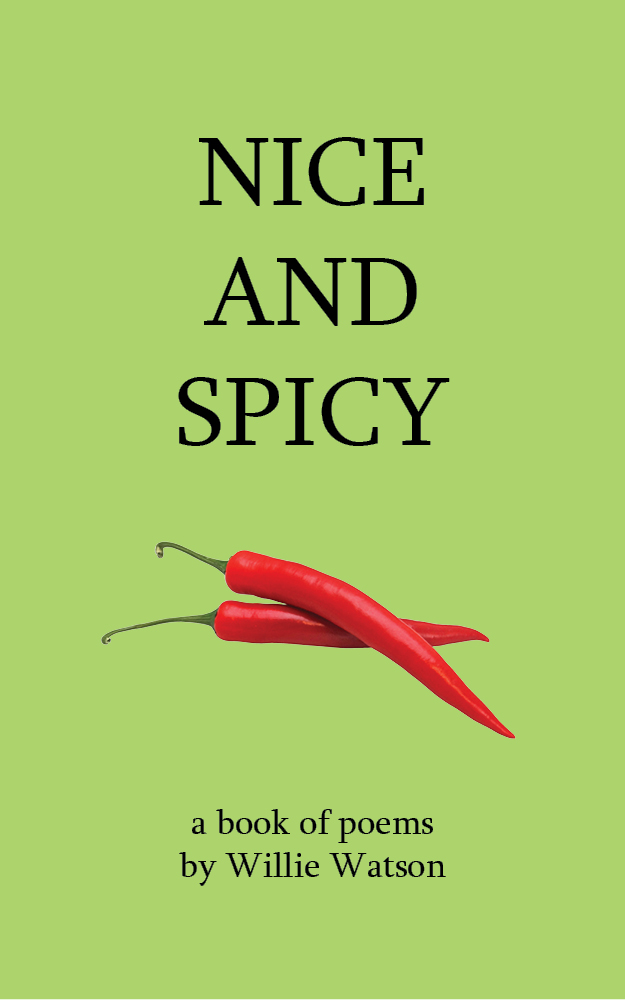 Nice_and_Spicy_book_cover_kindle